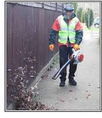 leaf blower2