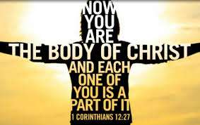 body of Christ each one a part of it