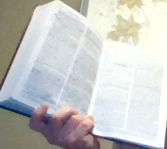 steve &amp; the Bible